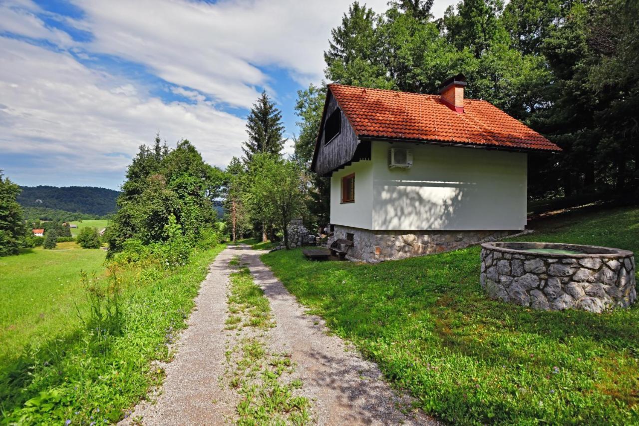 Forest House Villa Vrhnika Luaran gambar