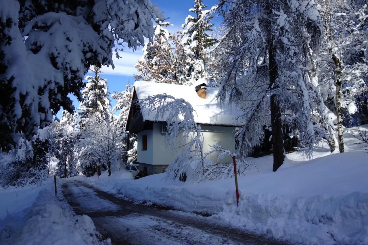 Forest House Villa Vrhnika Luaran gambar