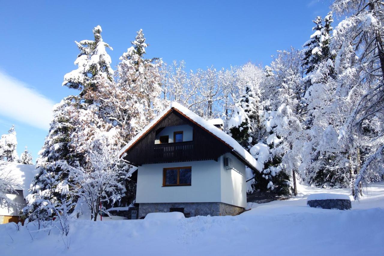 Forest House Villa Vrhnika Luaran gambar