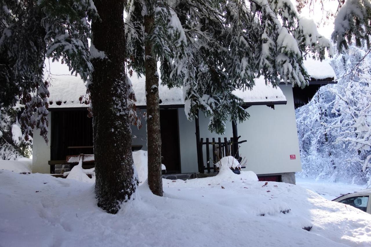 Forest House Villa Vrhnika Luaran gambar
